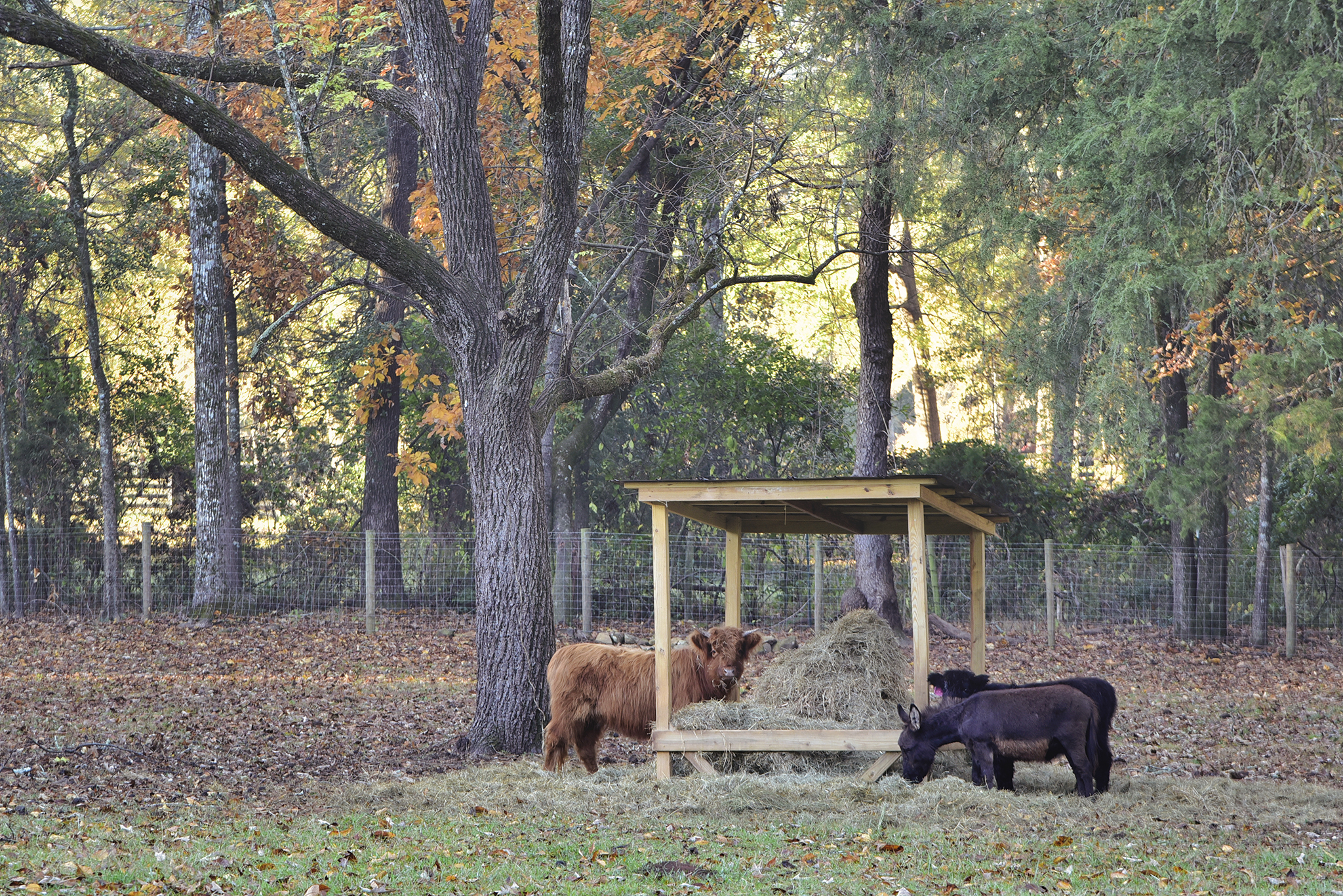 44 Farmhouse WEB 084